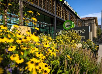 montana/billings/attraction/yellowstone-art-museum