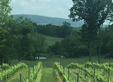 west-virginia/martinsburg/attraction/bozzo-family-vineyards