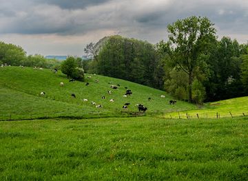 belgium/flemish-ardennes/attraction/burreken