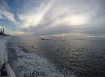 brazil/salvador/barra/attraction/naufragio-maraldi