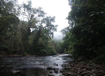 malaysia/taman-negara-national-park/attraction/camp-puteh