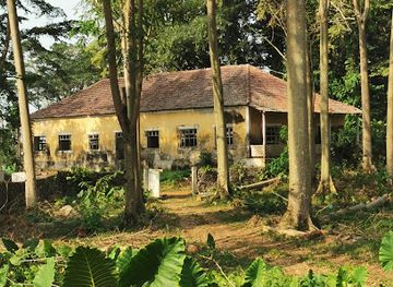 sao-tome-and-principe/praia-banana/attraction/roca-paciencia