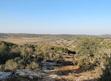 israel/shephelah/attraction/adullam-france-park