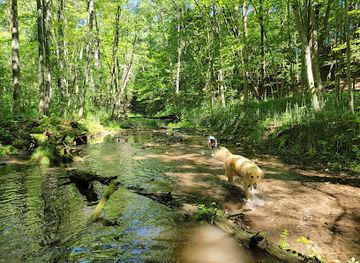 wisconsin/ice-age-trail/attraction/ice-age-scenic-trail-tuscobia-trail