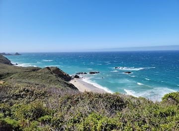 california/big-sur/attraction/andrew-molera-state-park