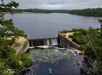 new-jersey/pine-barrens/attraction/the-pine-barrens