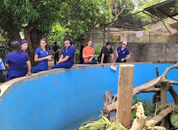 nicaragua/apoyo-lagoon/attraction/zoologico-nacional-de-nicaragua