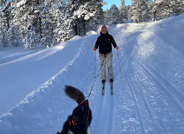 Korsningen blåa och gula längdspåret