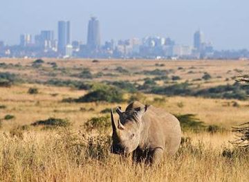 kenya/nairobi/attraction/nairobi-city-tours