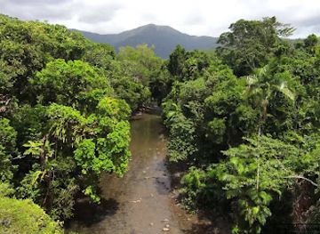 australia/cape-tribulation/attraction/emmagen-creek-east