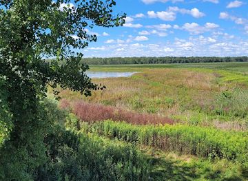 new-york/finger-lakes/attraction/montezuma-national-wildlife-refuge