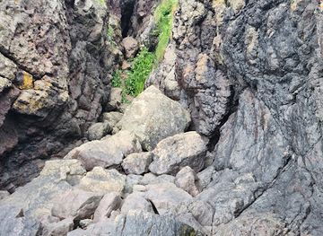 united-kingdom/ayrshire/attraction/sawney-bean-s-cave