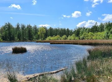 netherlands/drenthe/attraction/outdoor-center-boomkroonpad