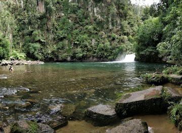 new-zealand/bay-of-plenty/attraction/raparapahoe-falls