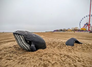 maryland/ocean-city/attraction/whale-sculpture