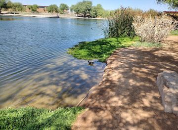 arizona/chandler/attraction/veterans-oasis-park