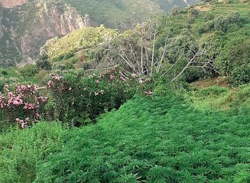 morocco/chefchaouen-region/attraction/dw-wslf-jm-tlmbwt-shfshwn