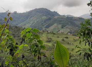 colombia/coffee-axis/attraction/cascade-don-lolo