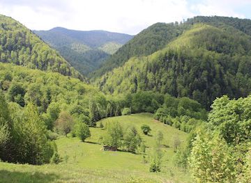 romania/bihor/attraction/flowers-glade