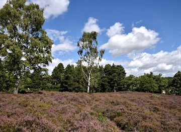 united-kingdom/bedfordshire/attraction/cooper-s-hill-bedfordshire