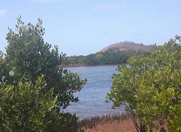 mayotte/plage-de-papani/attraction/vasiere-des-badamiers