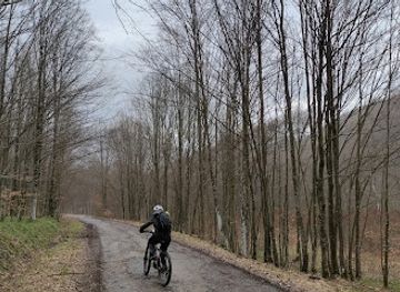 slovakia/poloniny-national-park/attraction/razcestie-smerekovica