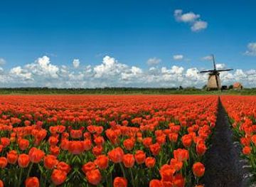 netherlands/amsterdam/attraction/hans-langh-tours