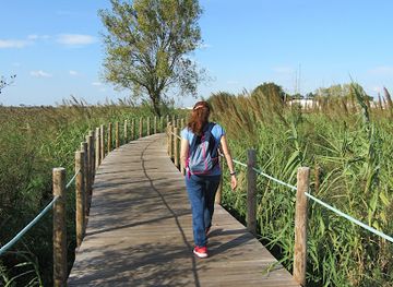 portugal/beira-litoral/attraction/passadicos-da-barrinha-de-esmoriz