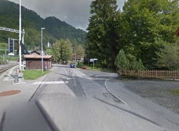 switzerland/montreux/attraction/chemin-des-narcisses