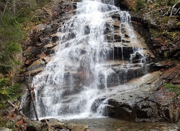 new-hampshire/franconia-notch-state-park/attraction/falling-waters-trailhead