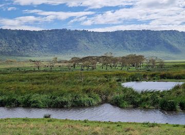 tanzania/lake-zone/attraction/lake-natron-maasai-guide