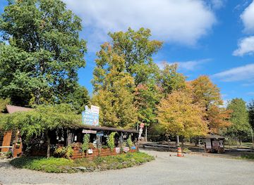 pennsylvania/allegheny-national-forest/attraction/cook-forest-fun-park