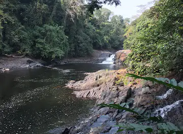 Cross River National Park