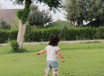 iraq/kalar/attraction/komelgai-gashtyari-u-werzshi-herem