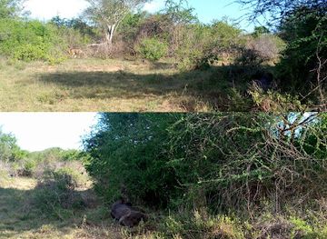 tanzania/tarangire-national-park/attraction/mkungunero-game-reserve