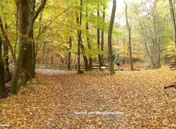 germany/taunus/attraction/heilklimapark-hochtaunus
