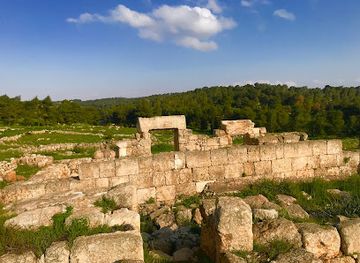israel/modi-in/attraction/anim-synagogue