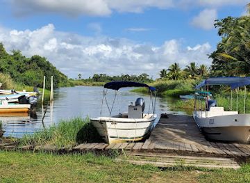 belize/toledo-district/attraction/monkey-river-eco-tours