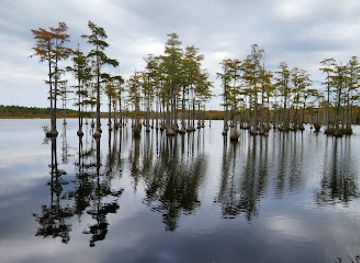 south-carolina/midlands/attraction/goodale-state-park