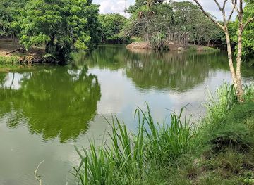 ghana/kokrobite/attraction/the-party-crew