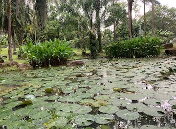 singapore/ang-mo-kio/attraction/lotus-pond-bishan-ang-mo-kio-park-1