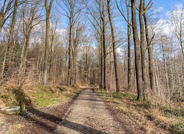 belgium/hautes-fagnes/attraction/promenade-spa
