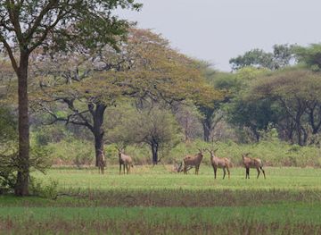 Katavi National Park