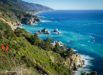 california/big-sur/attraction/julia-pfeiffer-burns-state-park-vista-point