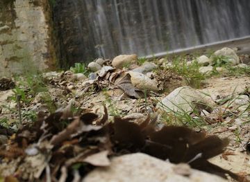 greece/serres/attraction/peripatos