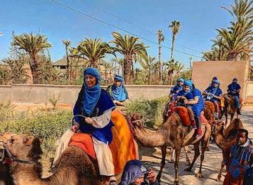 morocco/marrakech/attraction/camel-ride-marrakech