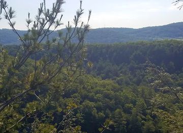 maryland/rocky-gap-state-park/attraction/monkey-s-head-rock