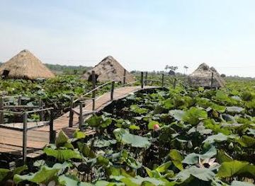 cambodia/siem-reap/attraction/lotus-farm-siem-reap