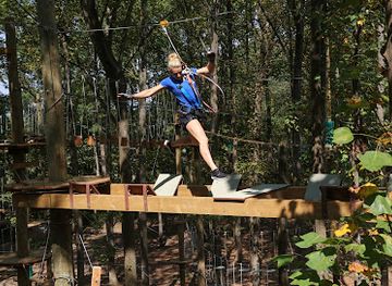 maryland/frederick/attraction/tree-trekkers-frederick-outdoor-aerial-adventure-ropes-and-zipline-park
