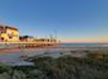 texas/galveston/attraction/iron-shark